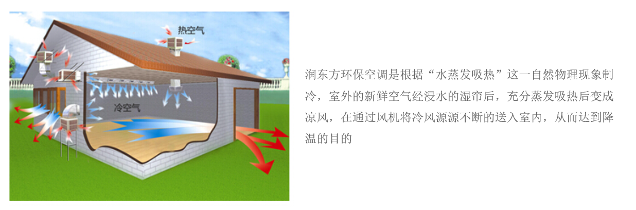 wnsr威尼斯·(集团)有限公司-官方网站RDF-18B-11/S(图2)